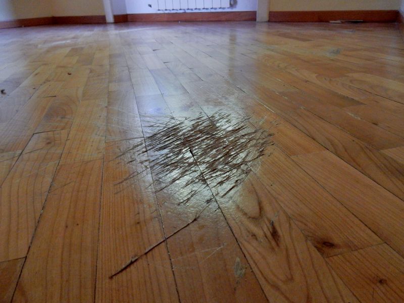 Wood Floor Scratch Repair in Woodland Park, CO